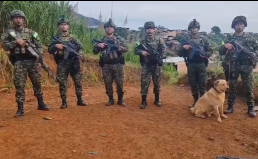 Militares