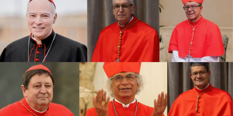 Latinoamérica tendrá 22 cardenales electores en el cónclave que inicia el miércoles