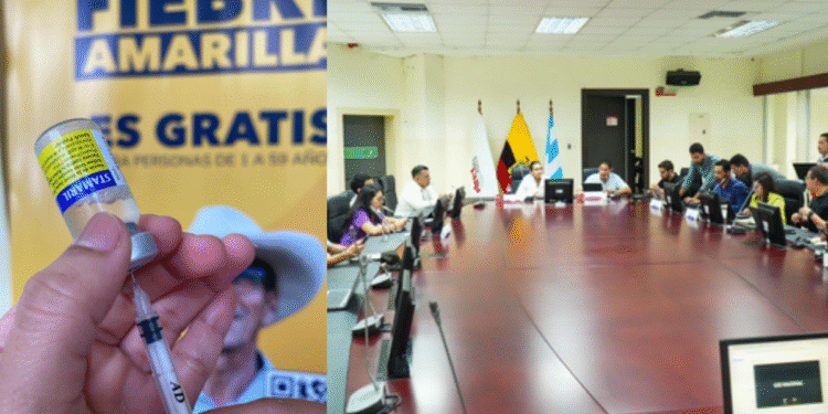 Fiebre Amarilla