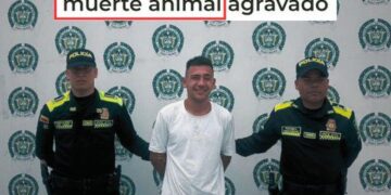 Cayó el terror de las palomas en Ocaña: las decapitaba con los dientes