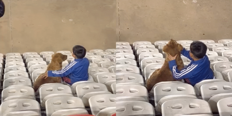 La conmovedora imagen de un niño que lleva a su perro al estadio a ver a su equipo