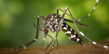 Atlántico activa plan de vacunación infantil contra el dengue ante aumento de casos en 2026
