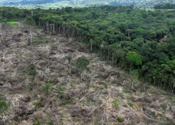 La Amazonía colombiana enfrenta un punto crítico