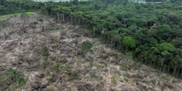 La Amazonía colombiana enfrenta un punto crítico