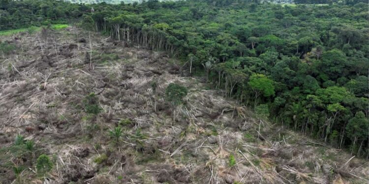 La Amazonía colombiana enfrenta un punto crítico