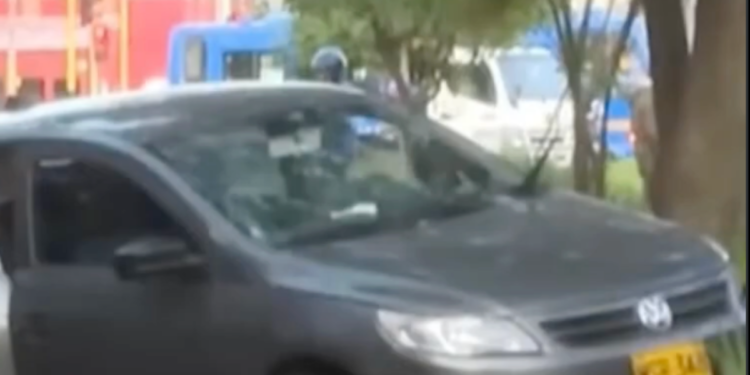 Accidente en el Jardín Botánico habría sido un montaje